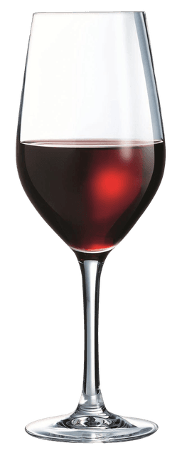 Келих Arcoroc Mineral, 450 мл H2006