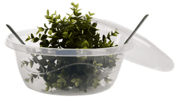 Миска Violet House RANDOM WAVY 0179 4.5 л 0179 RANDOM WAVY